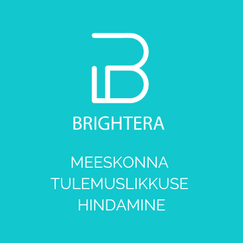 brightra logo, meeskonna tulemuslikkuse hindamine
